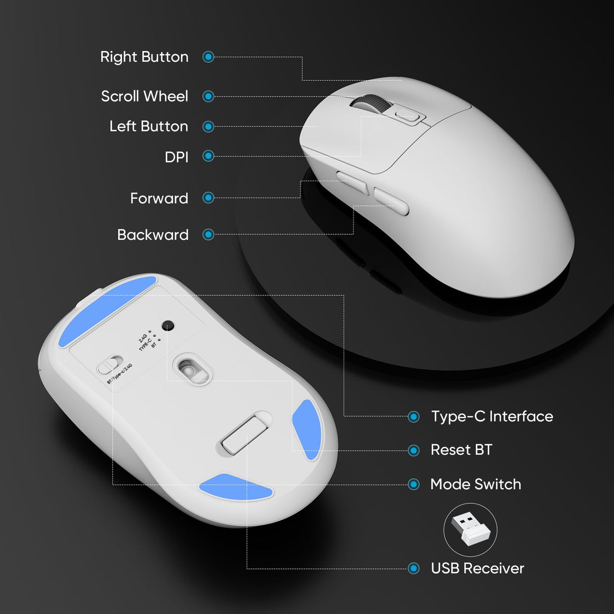 MELOGAGA Wireless Gaming Mouse, 3-Mode Bluetooth/2.4G/USB-C, 8 DPI